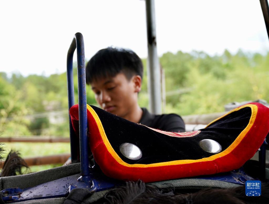 正规网投在线下载